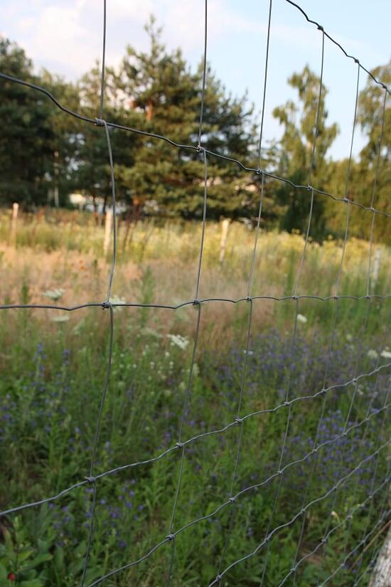Wildschutzzaun_Aufbau_36.jpg